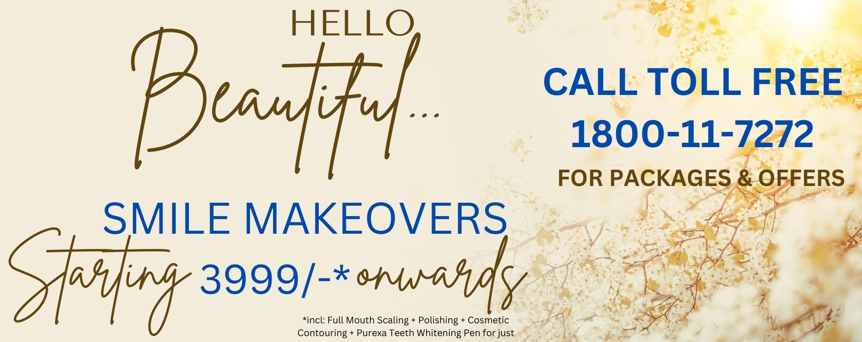 Smile make overs price